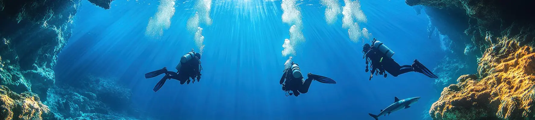 Diving Courses